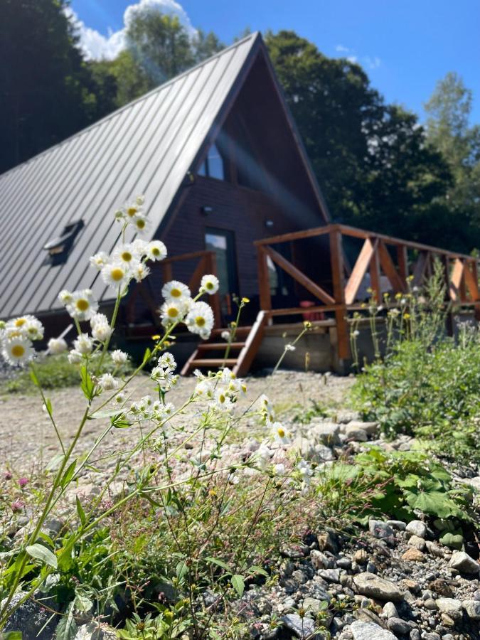 Wild Cabin Малая Экстерьер фото